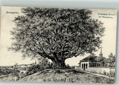 5620 Bremgarten AG Foto AK Einsiedeleil emaus Riesenlinde