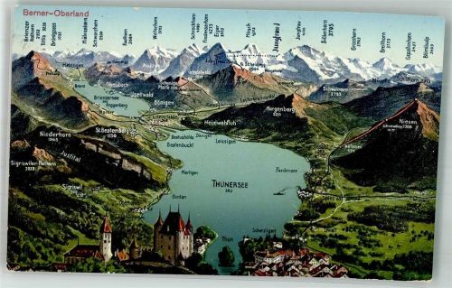 3600 Thun 1933 Foto AK Vogelschau Thunersee