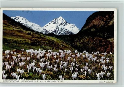 Ste-Croix Bergfrühling Nr. 8550 Gaberell