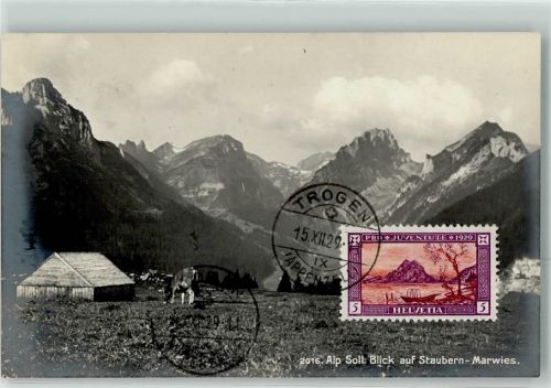 Staubern - Alp Soll Kühe