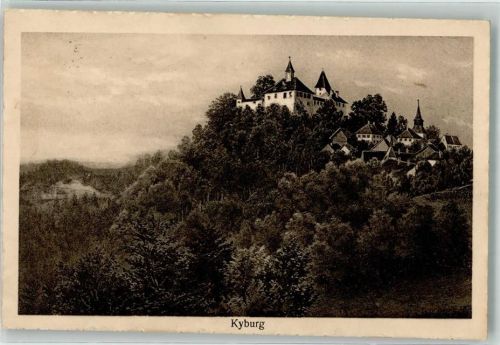 8314 Kyburg - Burg