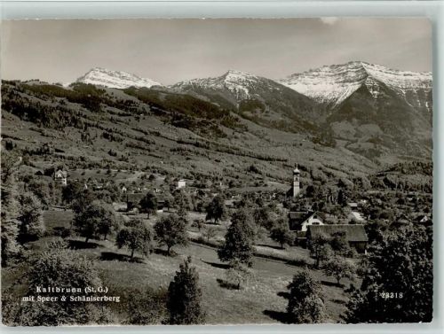 8722 Kaltbrunn - mit Speer und Schäniserberg