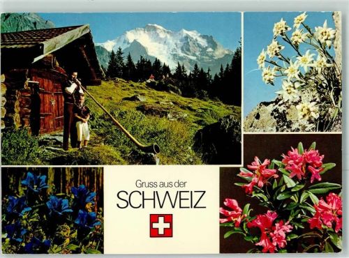 Bläser in der Schweiz AK Alphorn