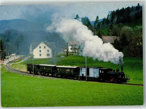8344 Neuthal Bäretswil Foto AK Eisenbahn Dampfzug DVZO Tigerli Foto Meier