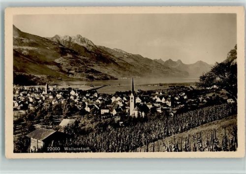8880 Wallenstadt 1914