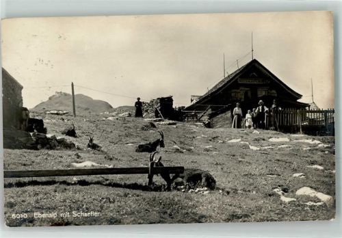 Ebenalp - Schaefler Ziegen
