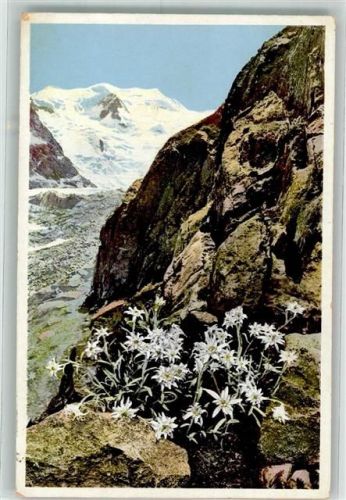 Bernina - Edelweis Photochromie Serie 581 Nr. 1495
