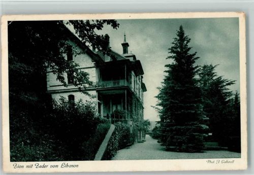 Rämismühle Ziion mit Zeder vom Libanon Gaberell 1932