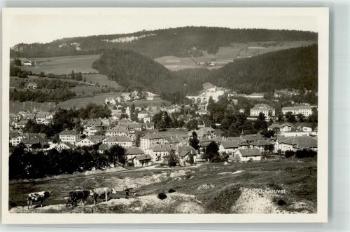 2108 Couvet - Kühe