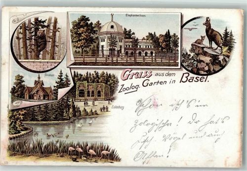Basel Bâle Gruss aus Elefantenhaus Hirschhaus Bär Eulenburg AK Zoo 1897 Lithographie