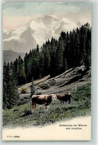 3825 Mürren - Grütschalp Jungfrau