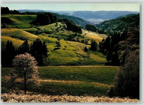 8495 Sitzberg Schmidrüti - Züricher Oberland