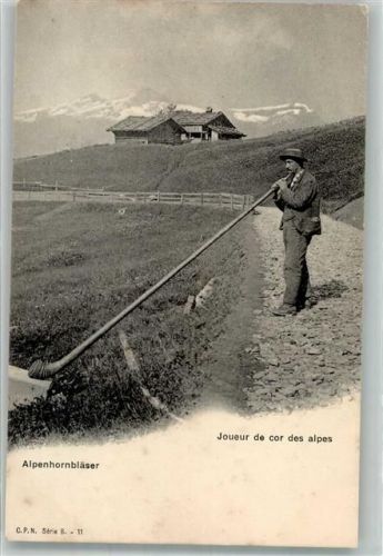 Bläser C.P.N. Serie B. 11 Alphorn