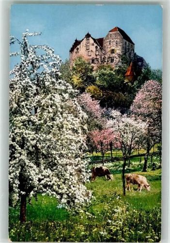 5103 Wildegg - Serie Das Seetal und seine Schlösser