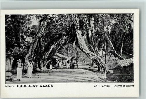 Nr. 23 - Ceylon, Arbres et Routes - Volkstypen Klaus Schokolade