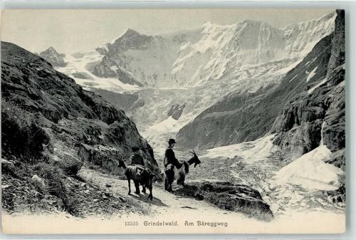 3818 Grindelwald - Am Bäreggweg Mann mit Ziegen