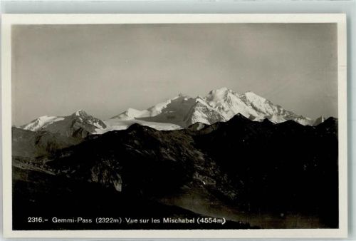 Gemmipass Wallis - Les Mischabel