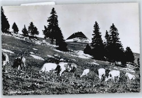 Chasseral BE - Hotel, Kuh