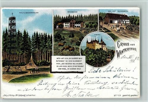 Winterthur Nr. 119 - Gruss aus - Bruderhaus, aussichtsturm, Der Hof Ebschenberg AK Schlumpf 1899 Lithographie