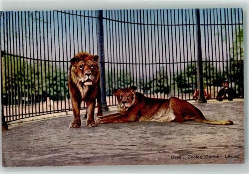 Basel Bâle Löwengehege Zoo Gebrauchsspuren