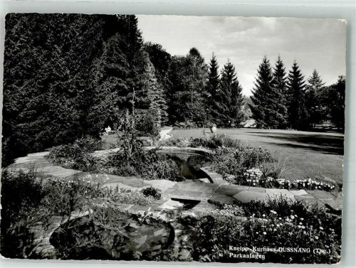 8374 Dussnang 1956 Foto AK Parkanlagen