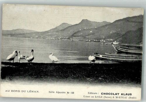 Gänse und Schwäne am Ufer des Genfersee Klaus Schokolade Werbe AK