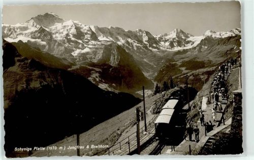 Schynige Platte Foto AK Jungfrau Breithorn