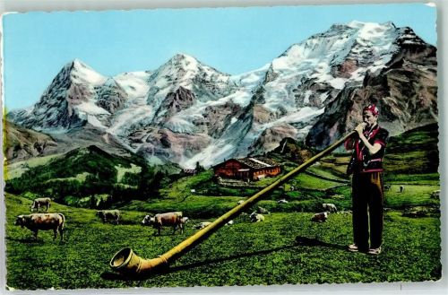 Alphorn