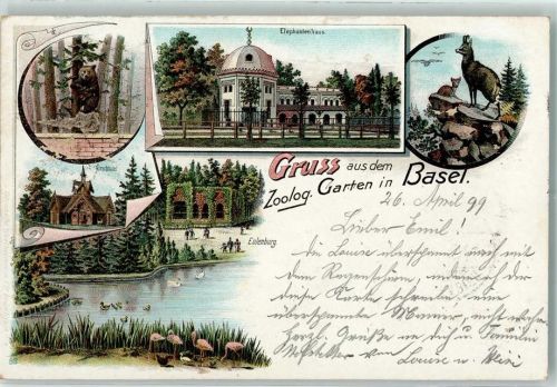 Basel Bâle Zoolog. Garten Elefantenhaus Gämse Braunbär Hirschhaus Eulenburg Flamingos Zoo 1899 Lithographie