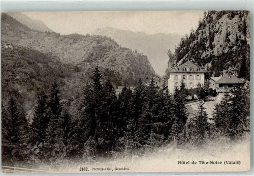 Tete Noire Morcles - Hotel de Tete Noir