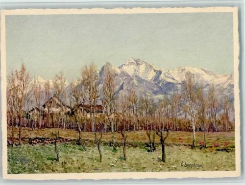 6596 Gordola - Bienfaisance Für die Schwerhörigen Vorfrühling sign Zuppinger E.