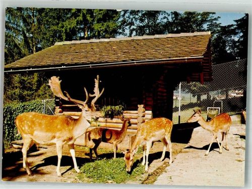 8374 Dussnang Foto AK Wildpark