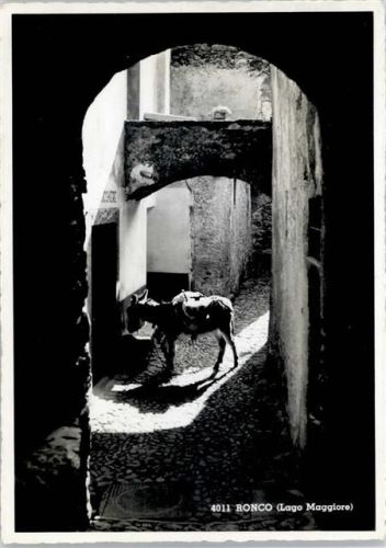 6777 Ronco Quinto - Esel , Altstadt