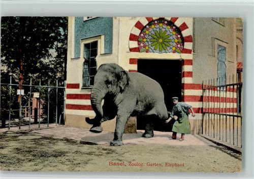 Basel Bâle Tierpfleger mit einem Elefanten AK Zoo 1909