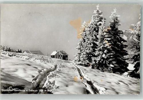 6430 Schwyz 1959 Foto AK Gasthaus Oberberg Winter