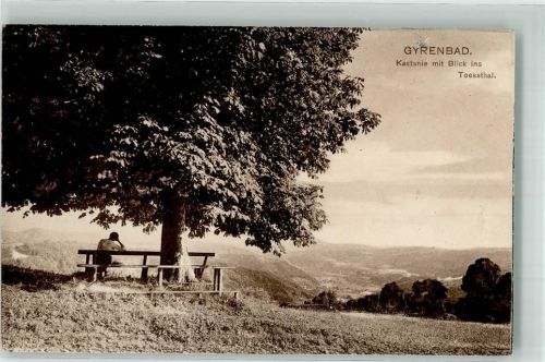 8488 Gyrenbad - Kastanienbaum Toesstal