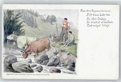 9050 Appenzell - Kuh