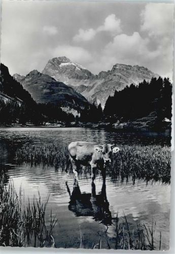 7482 Preda - Berg Kuh See