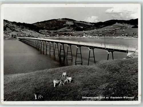 8840 Einsiedeln - Sihlseeviadukt Kühe