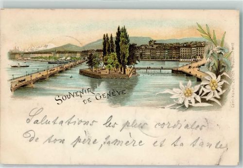 1200 Genève Genf 1895 - Brücke Edelweiss Dekor