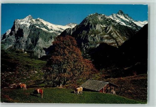 3818 Grindelwald Schwendi b. Grindelwald - Wetterhorn, Mettenberg und Blick in das Tal