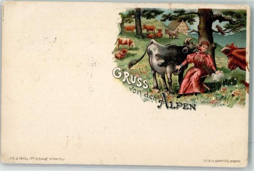 Gruss aus den Alpen Nr. 904 Humor Kühe Rinder lecken eine Frau Schlumpf Lithographie / Künstlerkarte