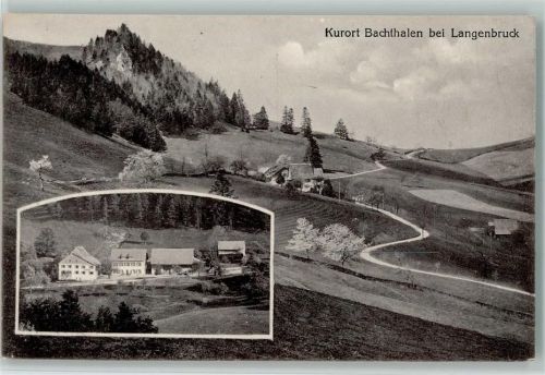 4438 Langenbruck 1917 - Kurort Bachthalen , Teilansicht AK