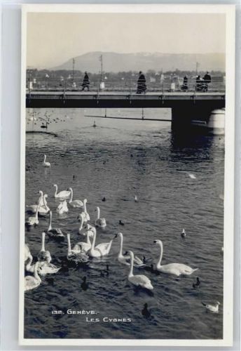 1200 Genève Genf - Schwan, Brücke AKU2