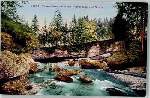 9643 Krummenau - Naturbrücke Nesslau