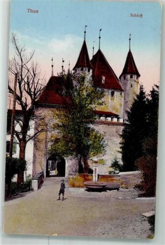 3600 Thun Foto AK Schloss