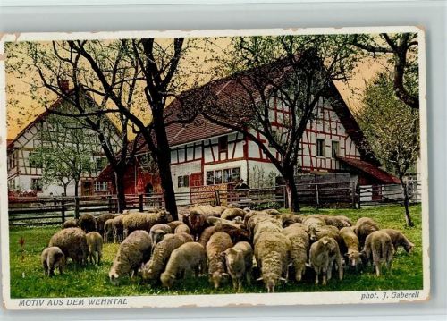 Foto Gaberell 2785 - Schafherde im Wehntal , Eckknick Gaberell 1954