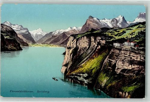 6377 Seelisberg Foto AK Vierwaldstättersee Grand Hotel Sonnenberg Foto Goetz