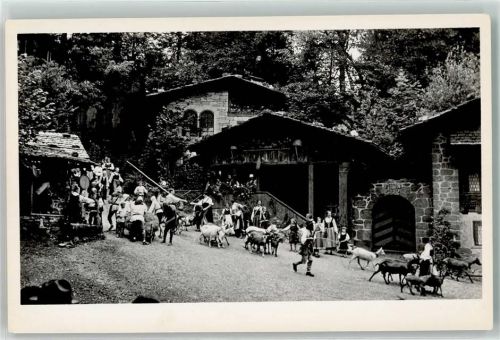 3800 Interlaken - Tell Freilicht Spiele Alpabzug