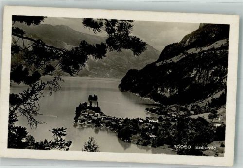 3807 Iseltwald Foto AK